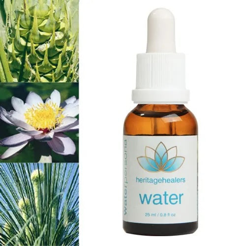 heritagehealers Water Wildflower Essence Remedy